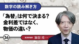 「為替」は何で決まる?金利差ではなく、物価の違い?